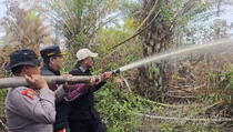 Bakar Lahan Gambut untuk Perkebunan, Pria di Pelalawan Jadi Tersangka