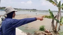 Banjir Demak Rendam 850 Hektare Sawah, Petani Terancam Rugi
