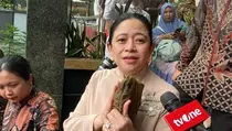 Puan Akui Pembahasan Revisi UU Pemilu 2029 Makin Mepet