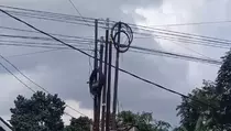 Nasib Pilu Munandir, Lumpuh Terjerat Kabel Internet Semrawut