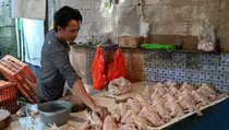 Harga Ayam di Tangerang Masih Tinggi, Pedagang: Omzet Menurun