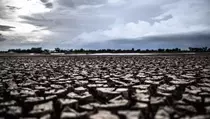 El Nino Godzilla Mengancam, Kenali Penyakit dan Cara Mencegahnya