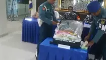 Penyelundupan Benur Senilai Rp 1,1 M Digagalkan di Bandara Juanda