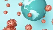 IDAI Serukan langkah untuk Antisipasi Hantavirus