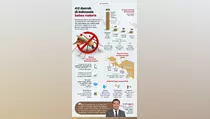 80 Persen Wilayah RI Bebas Malaria, Papua Masih Jadi Sorotan