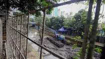 Normalisasi Kali Ciliwung