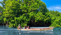 Curah Asmoro Sidoarjo Sajikan Wisata Susur Sungai Mangrove