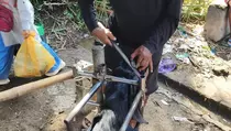 Jelang Iduladha, Jasa Grooming Kambing Kurban di Cilacap Banjir Order