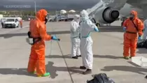 Strain Hantavirus di Indonesia Beda dengan di Kapal Pesiar MV Hondius