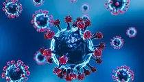 RSPI Sulianti Saroso Pantau WNA Kontak Erat Hantavirus