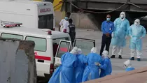 Bikin Dunia Panik, Ini 7 Fakta Penting Hantavirus yang Perlu Diketahui