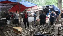 Polisi Gerebek Arena Sabung Ayam di Tangerang, Pelaku Kabur ke Sawah