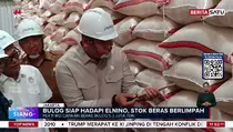 Gudang Bulog Penuh! Stok Beras RI Tembus 5,3 Juta Ton