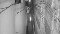 Viral Video Mahasiswi Unpad Dikejar dan Dilindas di Gang Sempit
