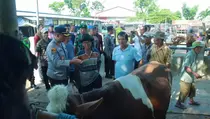 Klaten Waspadai Penyebaran PMK Menjelang Iduladha 2026