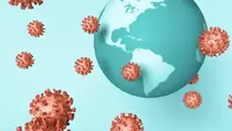 WHO Tetapkan Darurat Ebola, Kemenkes Perketat Pengawasan