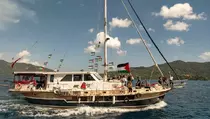 9 WNI Diculik Konflik Israel, Jalur Diplomasi Ditempuh