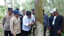 Meningkatkan Kesejahteraan Petani Karet di Kawasan Transmigrasi