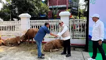 Baznas Serahkan Hewan Kurban Sapi ke 10 Media