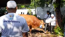 BNI Distribusikan 1.200 Hewan Kurban ke Berbagai Daerah Indonesia