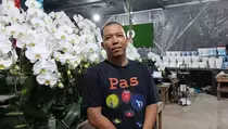 Andalkan KUR, UMKM Anggrek Mekar di Marketplace