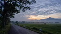 Apa Itu Fenomena Bediding yang Sebabkan Suhu Dingin Saat Kemarau?