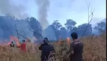 Savana Propok Rinjani Terbakar, Jalur Pendakian Ditutup Sementara