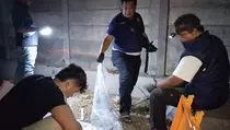Bidan di Situbondo Diduga Dibunuh, Jasadnya Dibuang ke Selokan Pantura