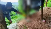 Mayat Tergantung Gegerkan Warga di Sulteng, Kondisinya Sulit Dikenali