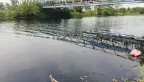 Sungai Ciujung Serang-Lebak Tercemar Limbah, Airnya Hitam dan Berbau