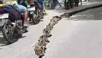6 Fakta Mengejutkan Gempa M 6,7 Sulteng, Sigi Alami Kerusakan Parah