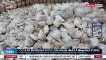 Efek Dolar Tembus Dapur! Harga Bawang di Yogyakarta Naik Ugal-ugalan