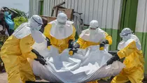 Wabah Ebola di Kongo Tembus 896 Kasus, WHO: Level Serius