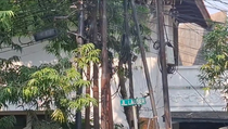 Siswi SMAN 6 Tewas Tersangkut Kabel di Jalan, Camat: Ini Kronologinya