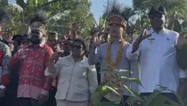 Wapres Gibran Tanam Kakao dan Tinjau Industri Cokelat di Papua Barat