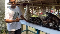 Dari Limbah Kayu Jadi Ikon Daerah, Kisah Inspiratif Endang Badak