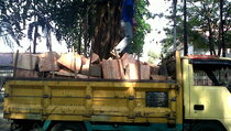 7 Kendaraan Tertimpa Pohon Dekat Rumah Foke Diganti Pemprov
