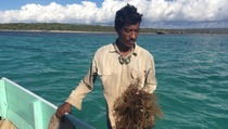 Puluhan Ribu Korban Pencemaran Montara Tuntut Kerja Sama