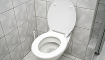 Cegah Pipa Mampet, Warga Zimbabwe Siram Toilet Bareng