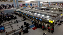 Bandara JFK Bangun Fasilitas Perawatan Hewan Senilai Rp 304 M