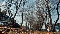 Sejumlah Desa di Paser Alami Kekeringan 