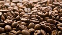 Incar Pasar Dunia, Petani Kopi Gayo Pelajari E-Commerce