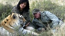 Sensasi Wisata Safari di Afrika Selatan