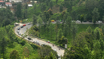 Kemacetan di Jalur Puncak
