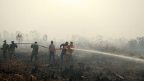 Pembakaran Hutan Merupakan Warisan Terburuk bagi Generasi Muda