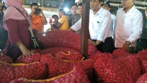 Bawang dari Nganjuk Didatangkan ke Jakarta untuk Stabilkan Harga