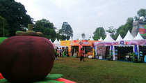Presiden Minta Produksi Buah Nusantara Ditingkatkan