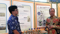 Tangsel Tuan Rumah Global Innovation Forum