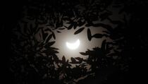 Gerhana Matahari, Kota Samarinda Lengang