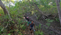 Wisata Komodo di Pulau Rinca